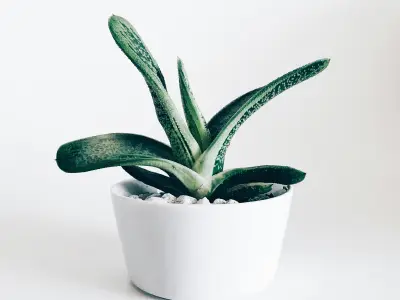 28圈
